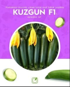 Kuzgun F1 Kabak Tohumu (Siyah) 1000 Adet