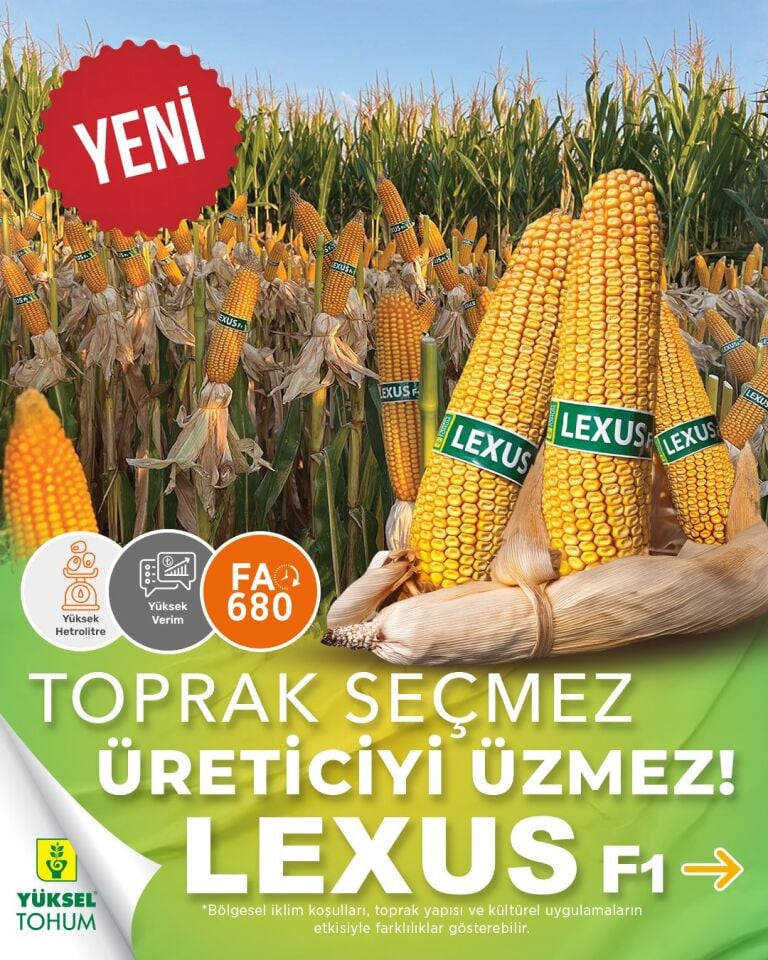 Danelik hibrit Mısır Tohumu  Lexus F1  50.000 Çekirdek