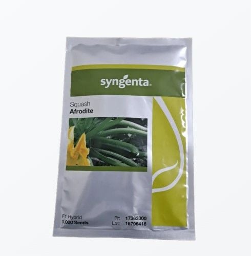 Kabak Tohumu Afrodit 1000 Çekirdek