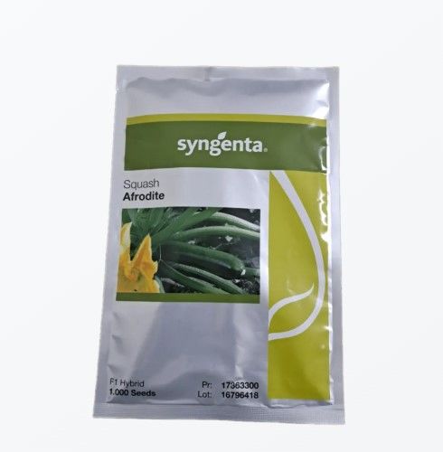 Kabak Tohumu Afrodit 1000 Çekirdek