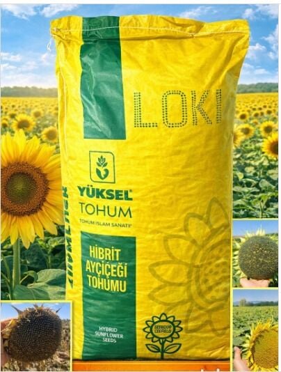 Loki  Hibrit Ayçiçeği Tohumu