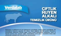 Verdalab Süt Sağım Alkali Temizlik Deterjan 5 Litre