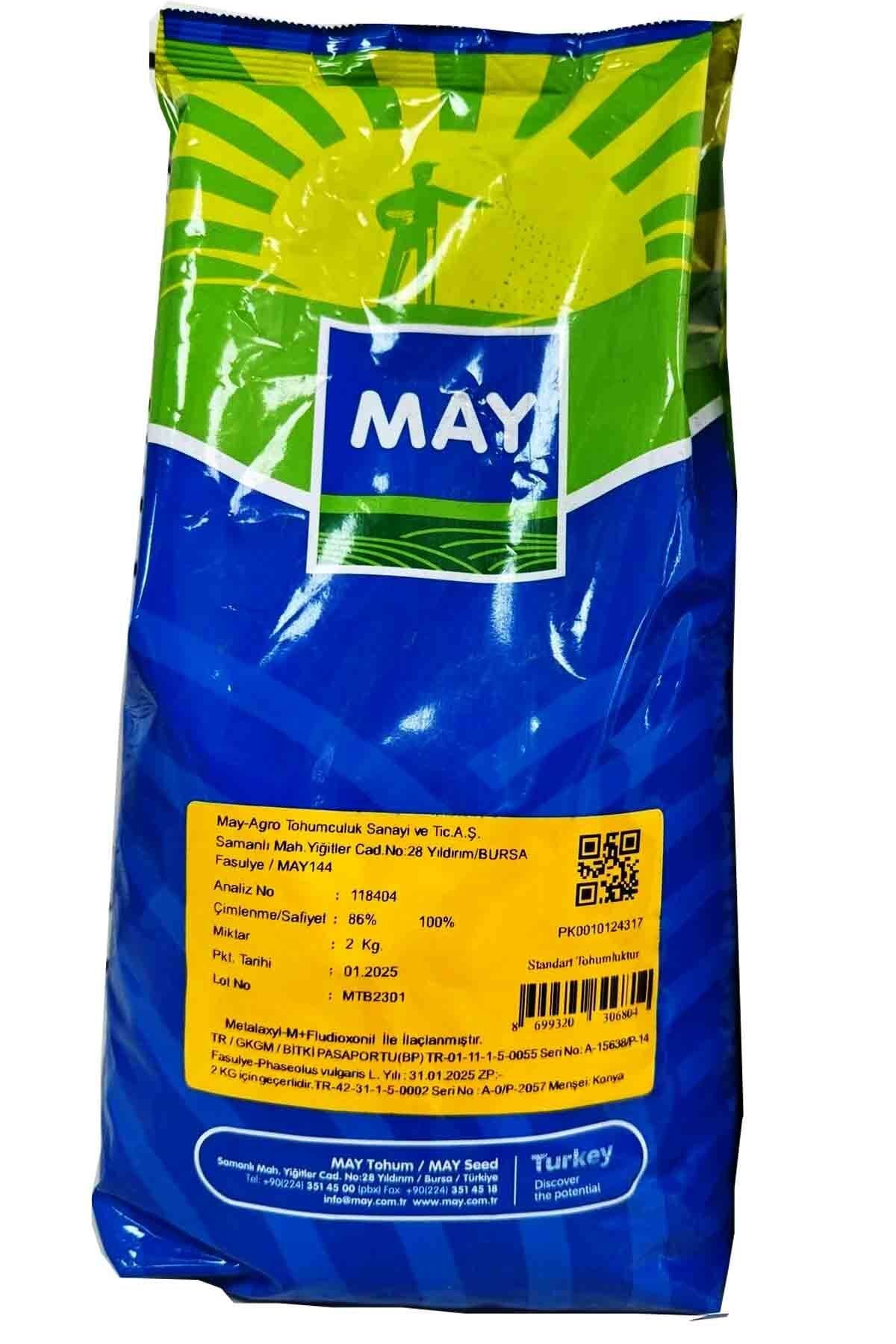 Fasulye Tohumu  Bourgondia Tİp May 144