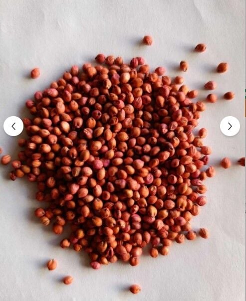 Sorgun Sudan Otu  25 Kg