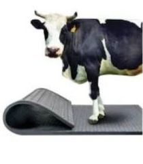 Hayvan Yatağı 110*190*2,2 cm - Kauçuk Hayvan Yatağı