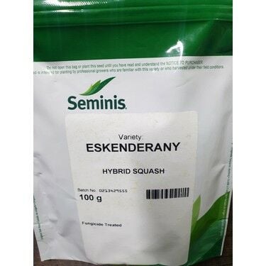 Hibrit Kabak Tohumu Eskenderany  100 Gram