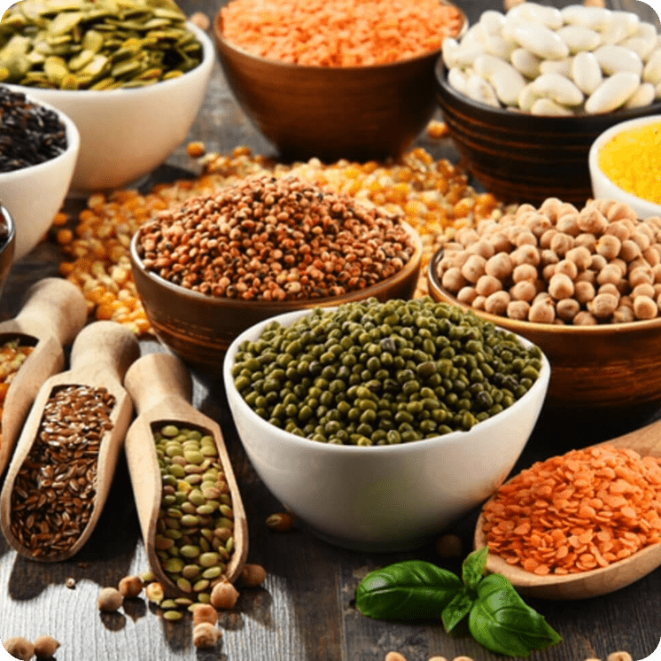 Bakliyat <br> Çeşitleri